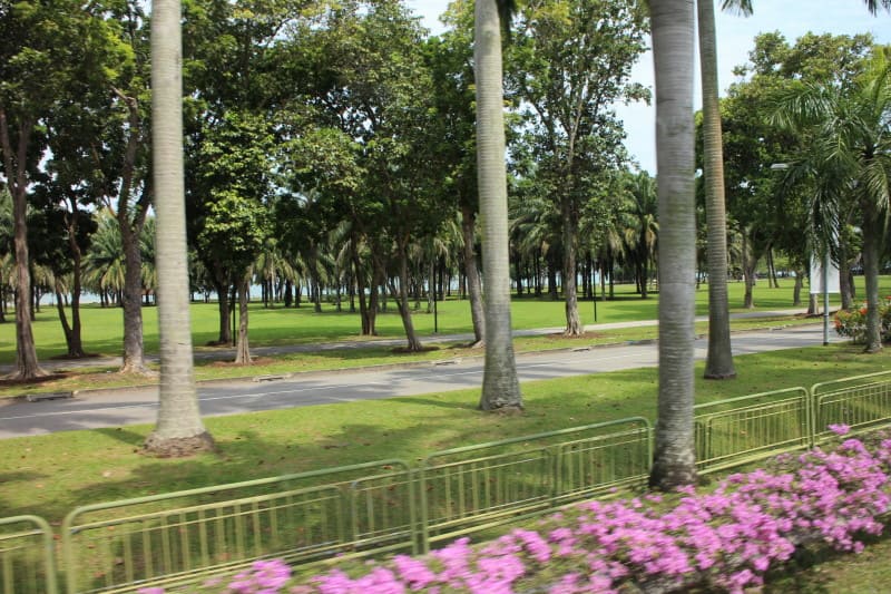 新加坡面積雖小(約台北市大)，但街道整潔，綠化做得很好